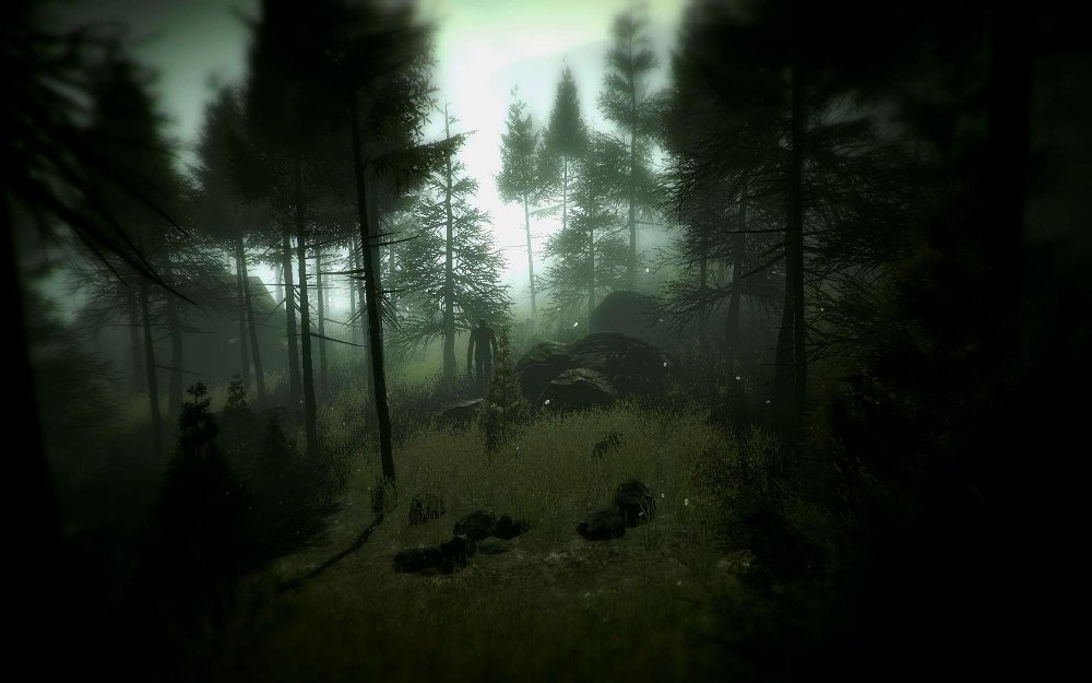 Скриншот из игры Slender: The Arrival под номером 3