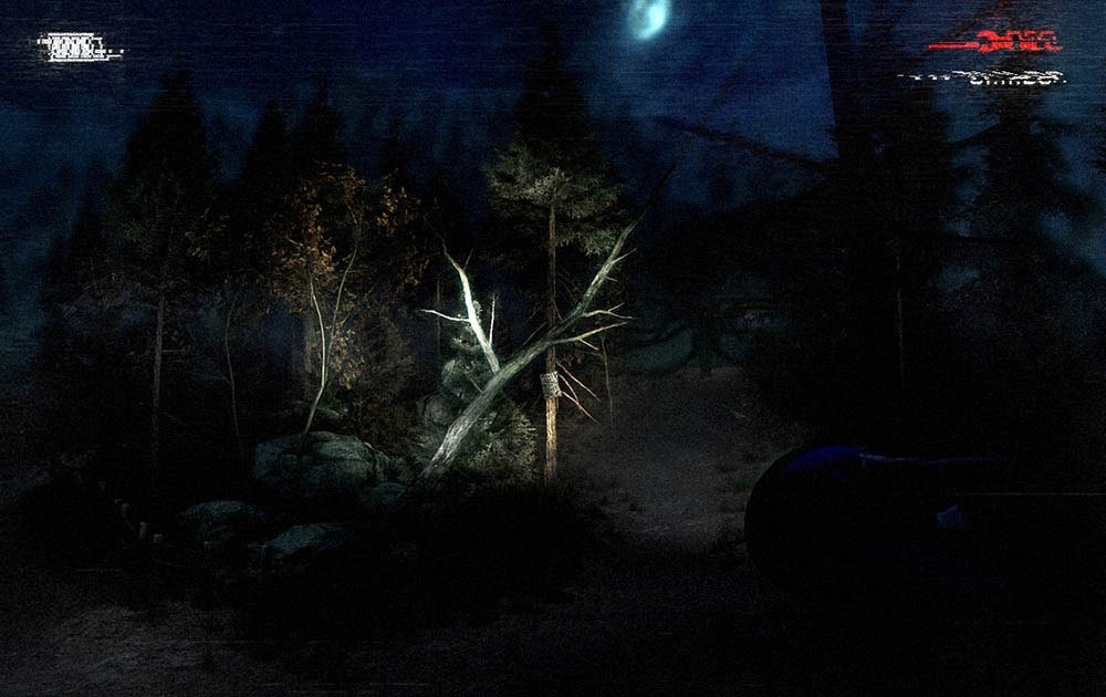 Скриншот из игры Slender: The Arrival под номером 8