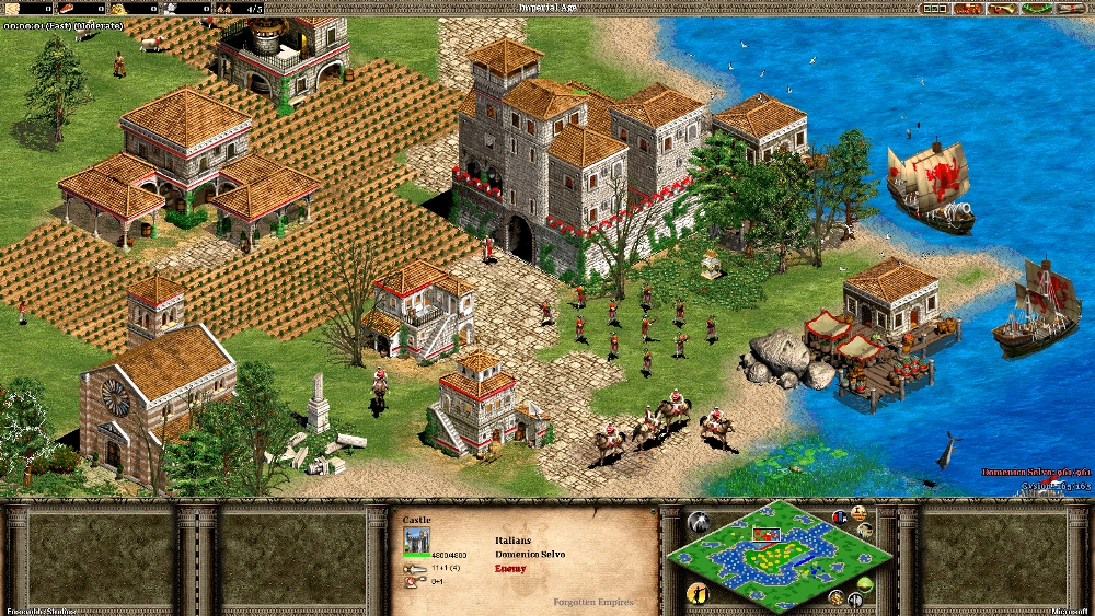 Скриншот из игры Age of Empires 2: Forgotten Empires под номером 5