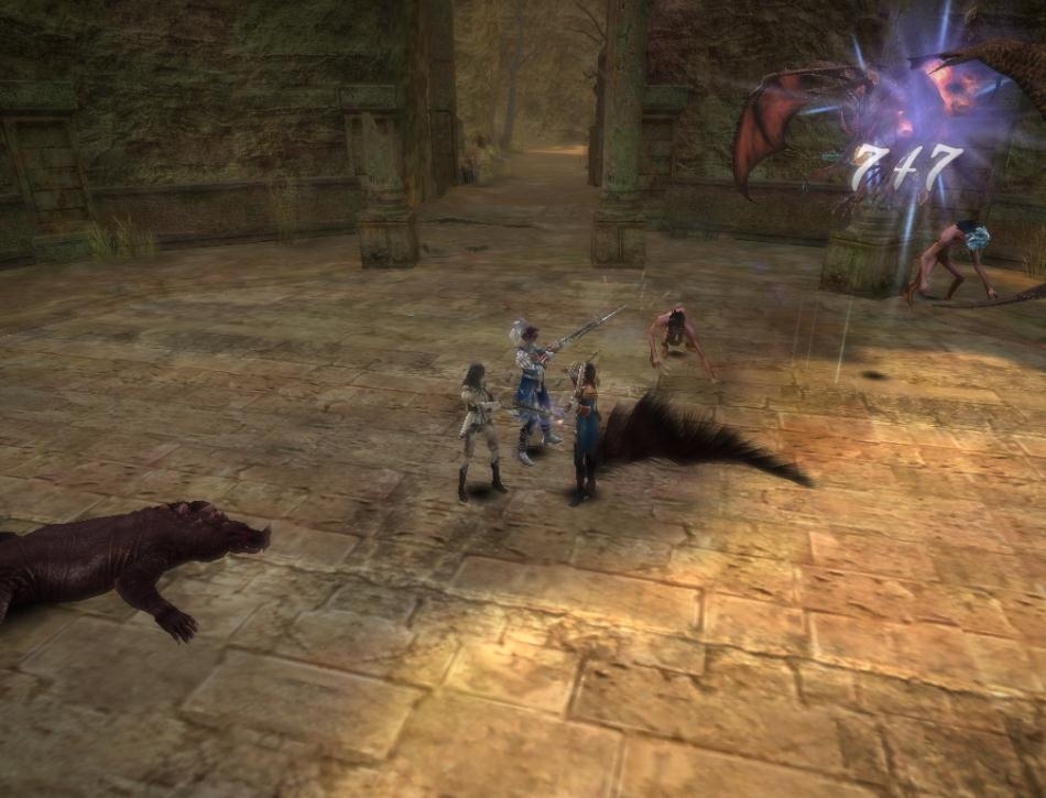 Скриншот из игры Sword of the New World: Granado Espada под номером 40