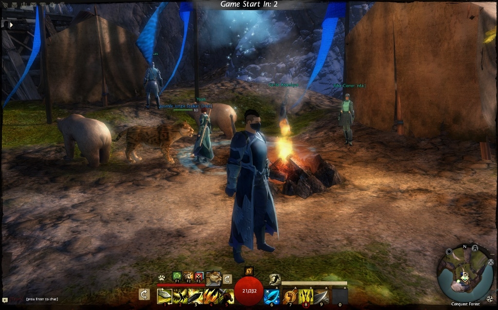 Скриншот из игры Guild Wars 2 под номером 109