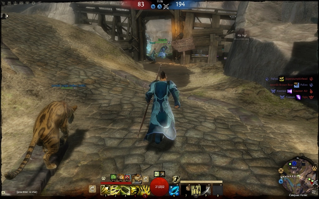 Скриншот из игры Guild Wars 2 под номером 119