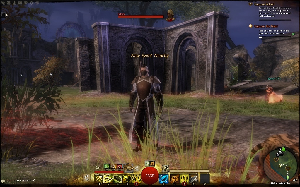 Скриншот из игры Guild Wars 2 под номером 124