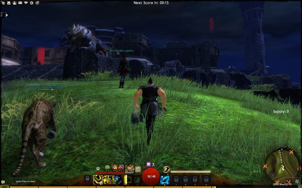 Скриншот из игры Guild Wars 2 под номером 129