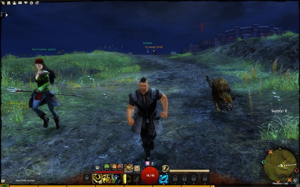 Скриншот из игры Guild Wars 2 под номером 132