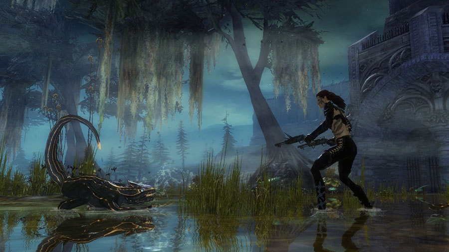 Скриншот из игры Guild Wars 2 под номером 30