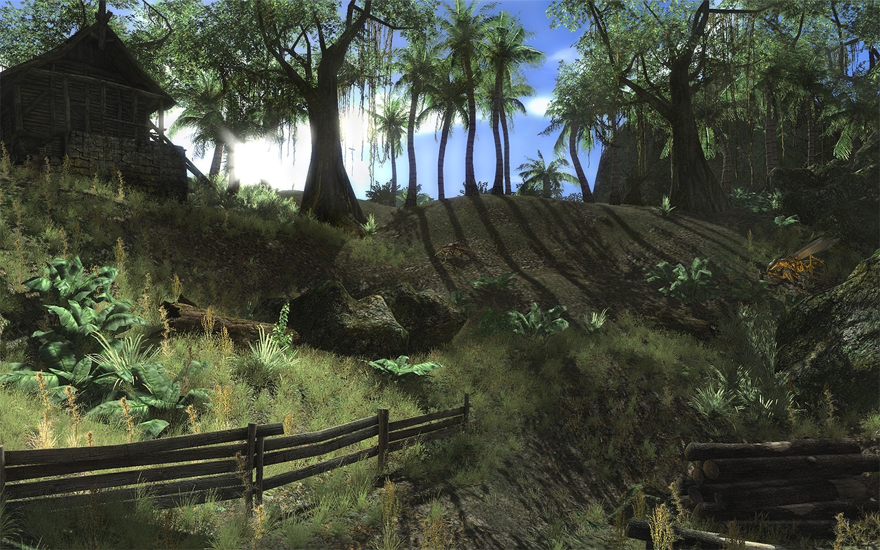 Скриншот из игры Two Worlds 2 под номером 2