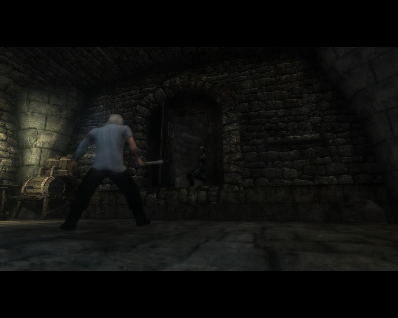Скриншот из игры Two Worlds 2 под номером 20