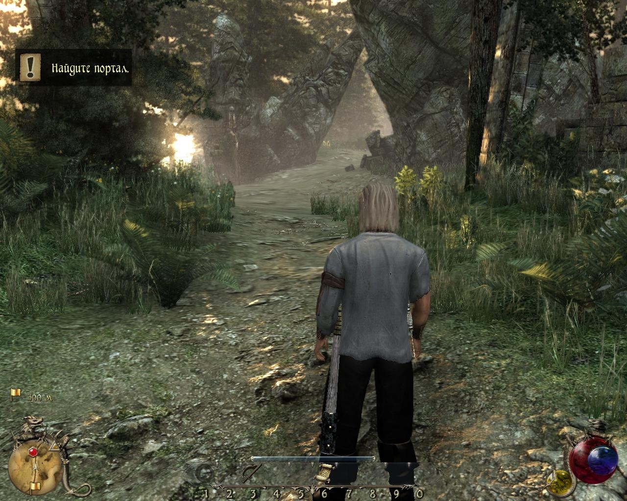 Скриншот из игры Two Worlds 2 под номером 22