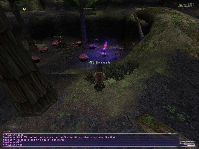 Скриншот из игры Final Fantasy 11 под номером 89