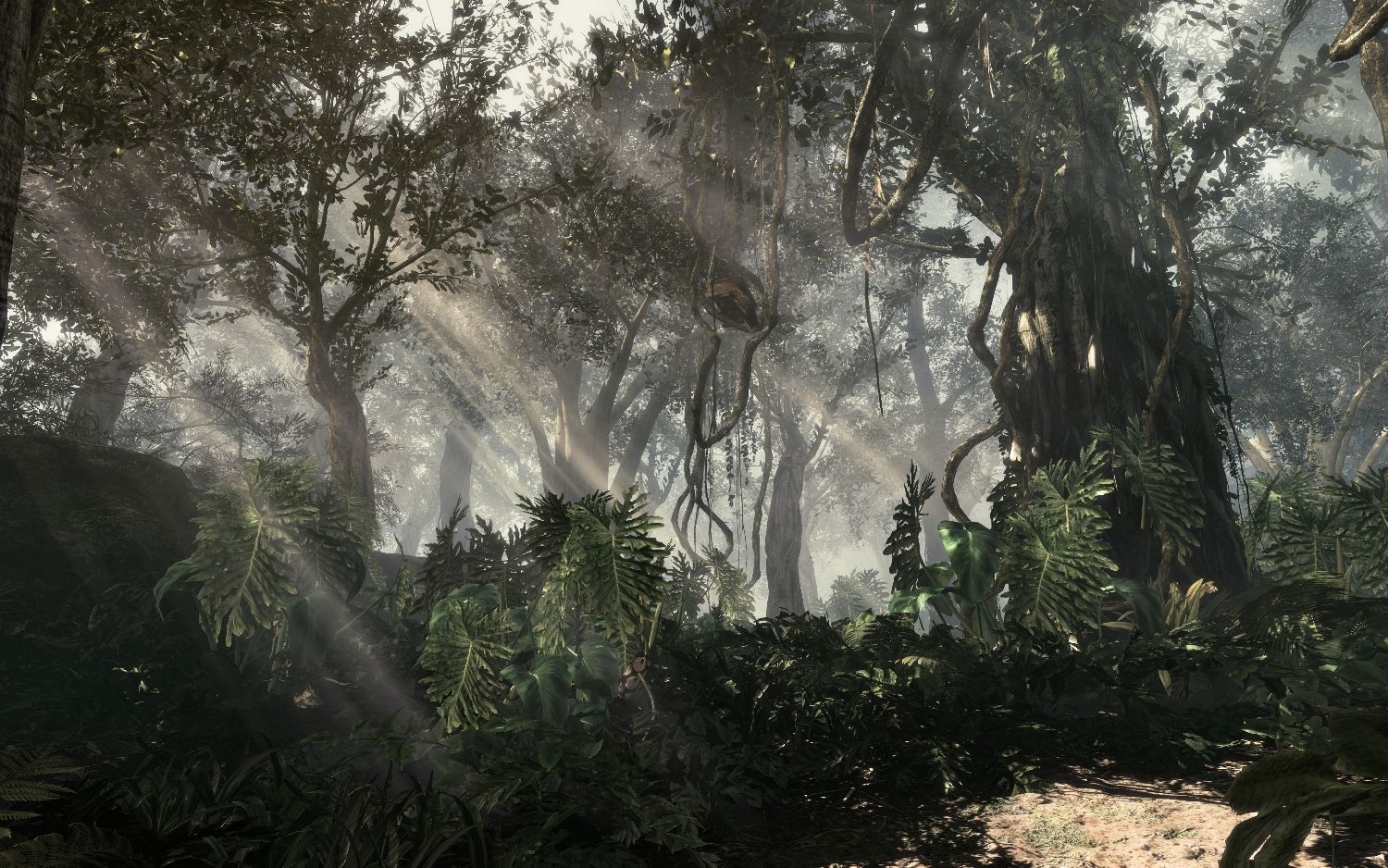 Скриншот из игры Call of Duty: Ghosts под номером 6