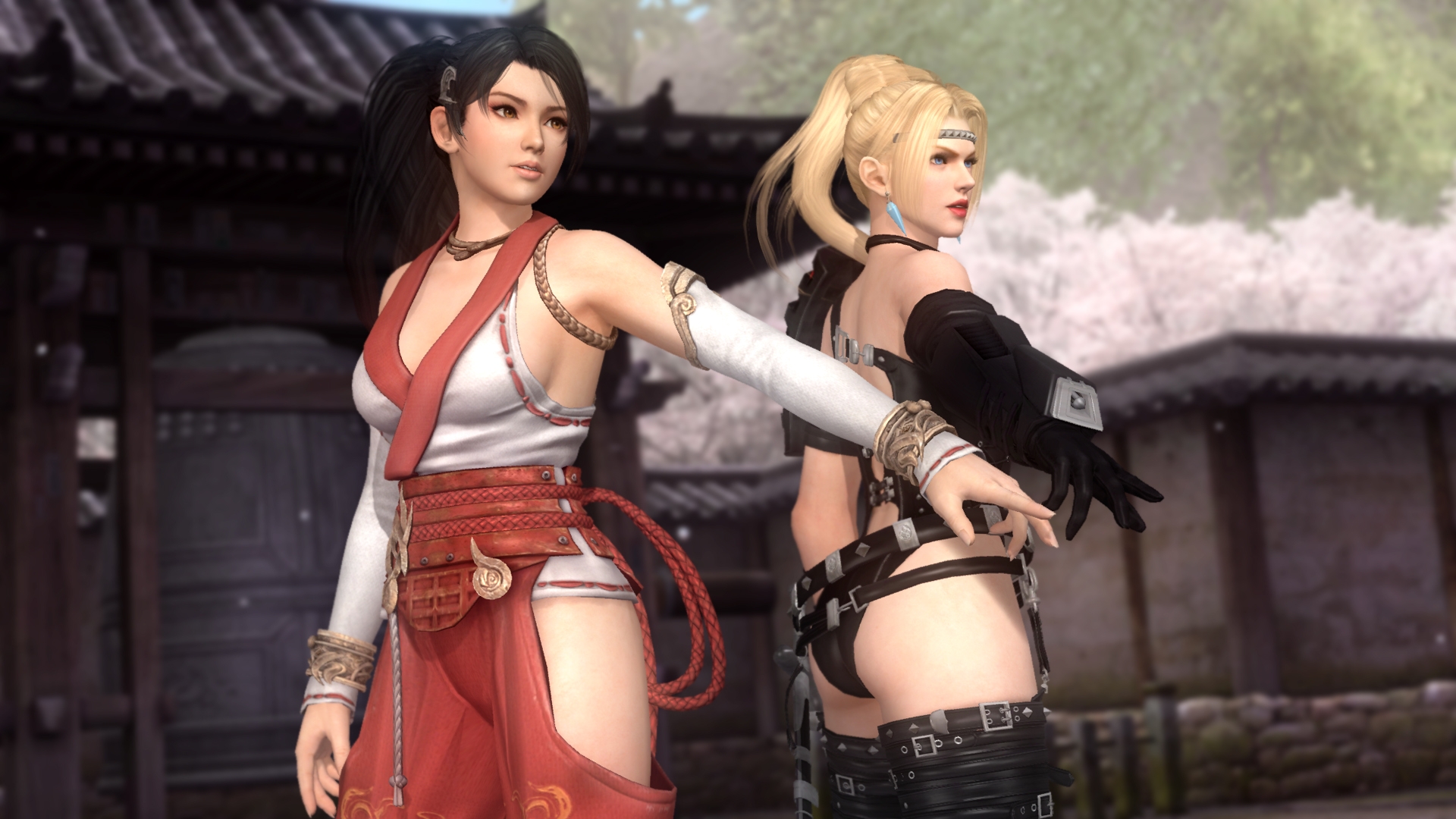 Скриншот из игры Dead or Alive 5 Ultimate под номером 45