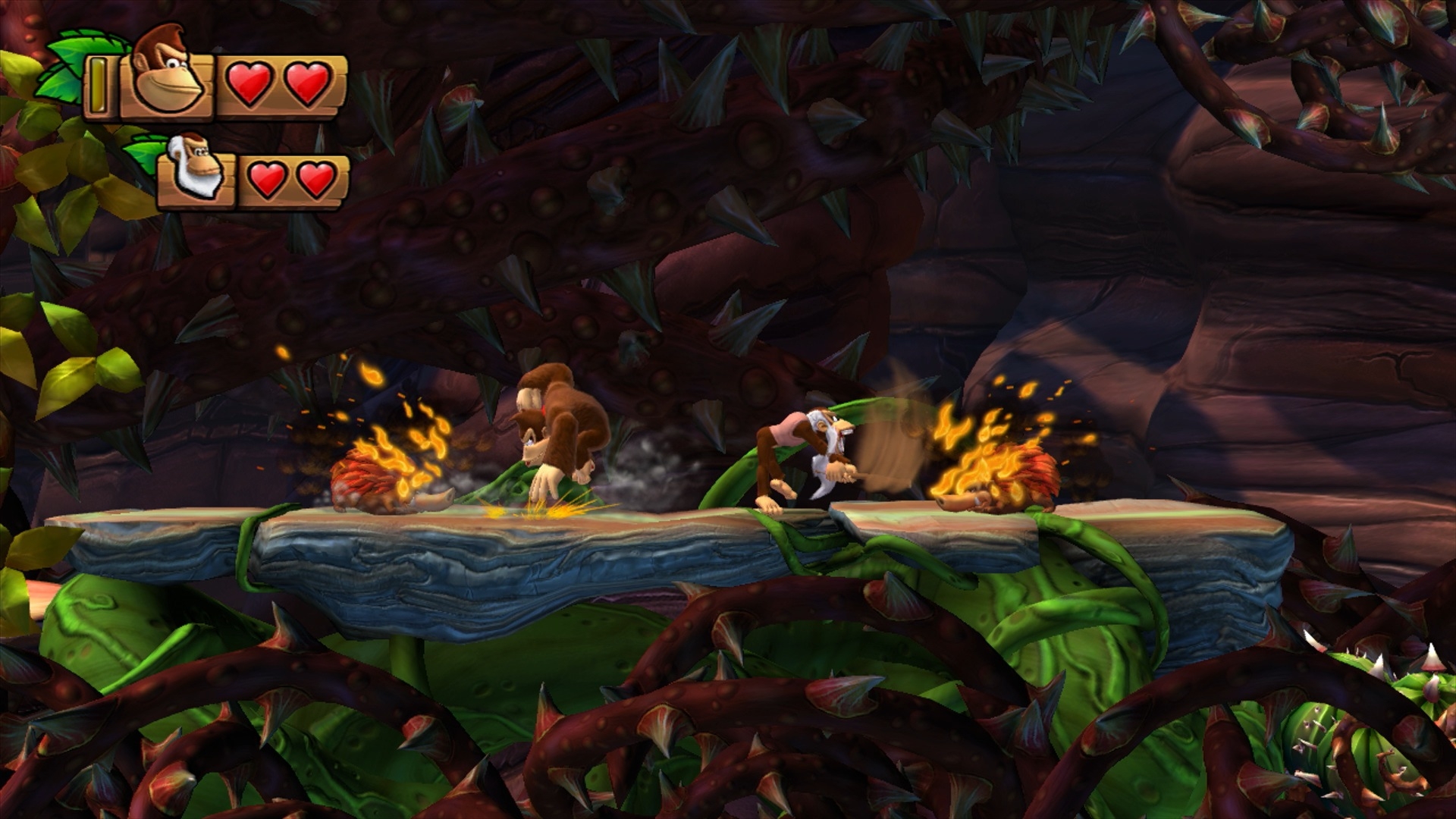 Скриншот из игры Donkey Kong Country: Tropical Freeze под номером 1