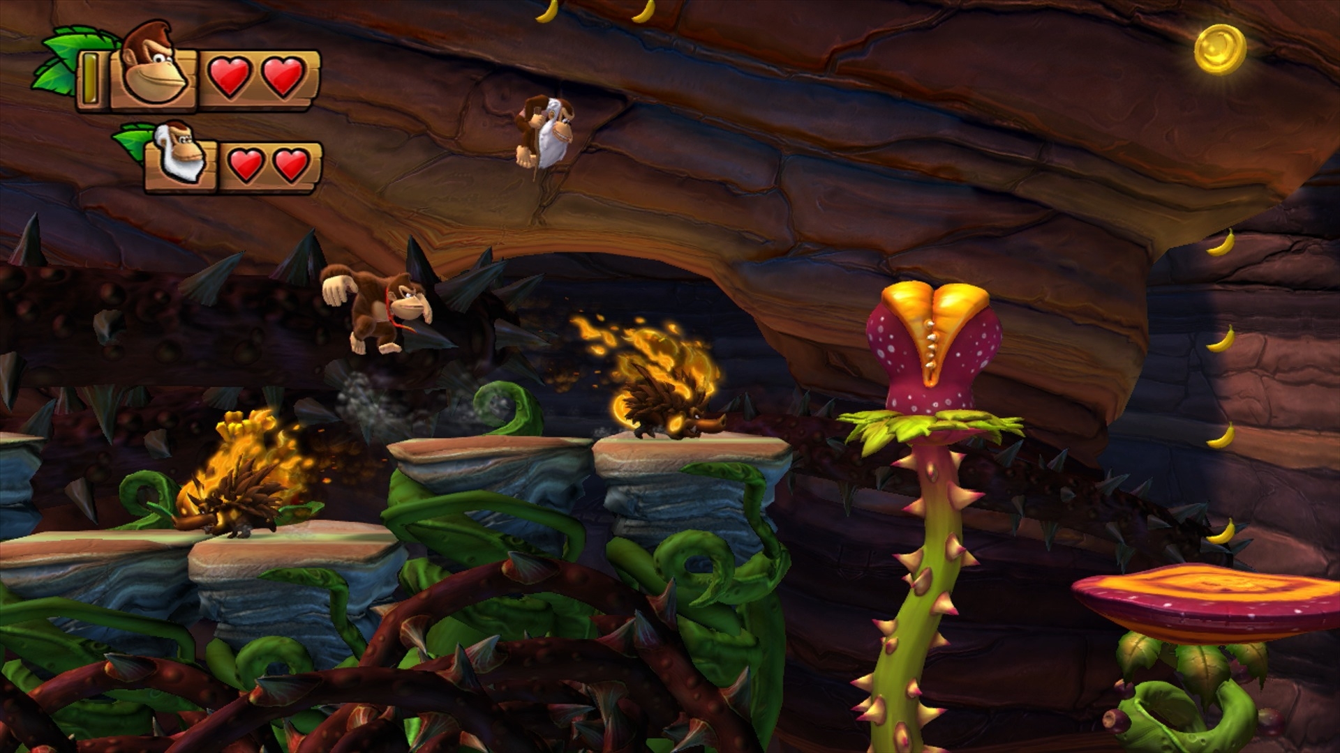 Скриншот из игры Donkey Kong Country: Tropical Freeze под номером 2