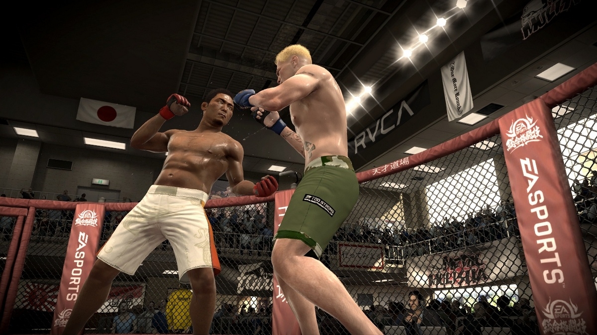 Скриншот из игры EA Sports MMA под номером 14