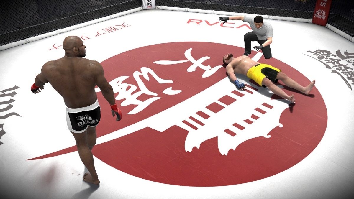 Скриншот из игры EA Sports MMA под номером 15