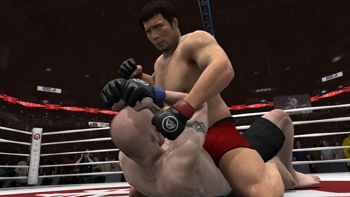 Скриншот из игры EA Sports MMA под номером 16