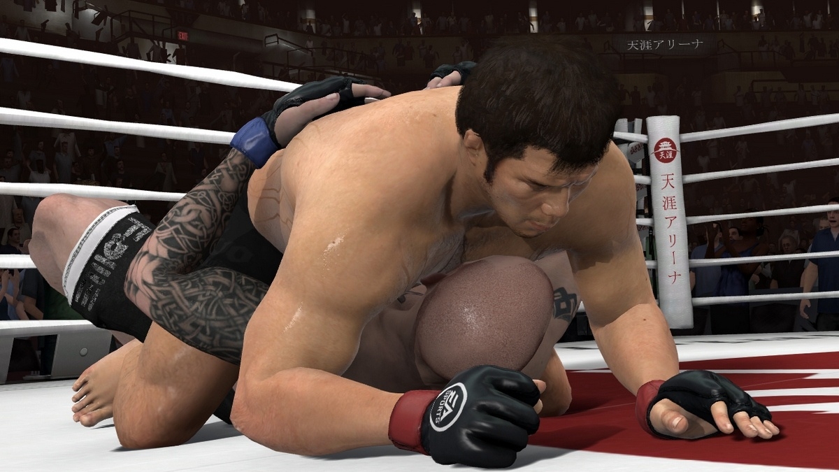 Скриншот из игры EA Sports MMA под номером 18