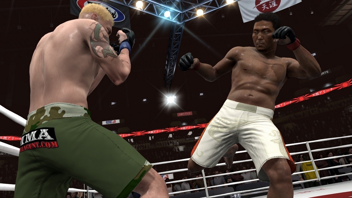 Скриншот из игры EA Sports MMA под номером 19