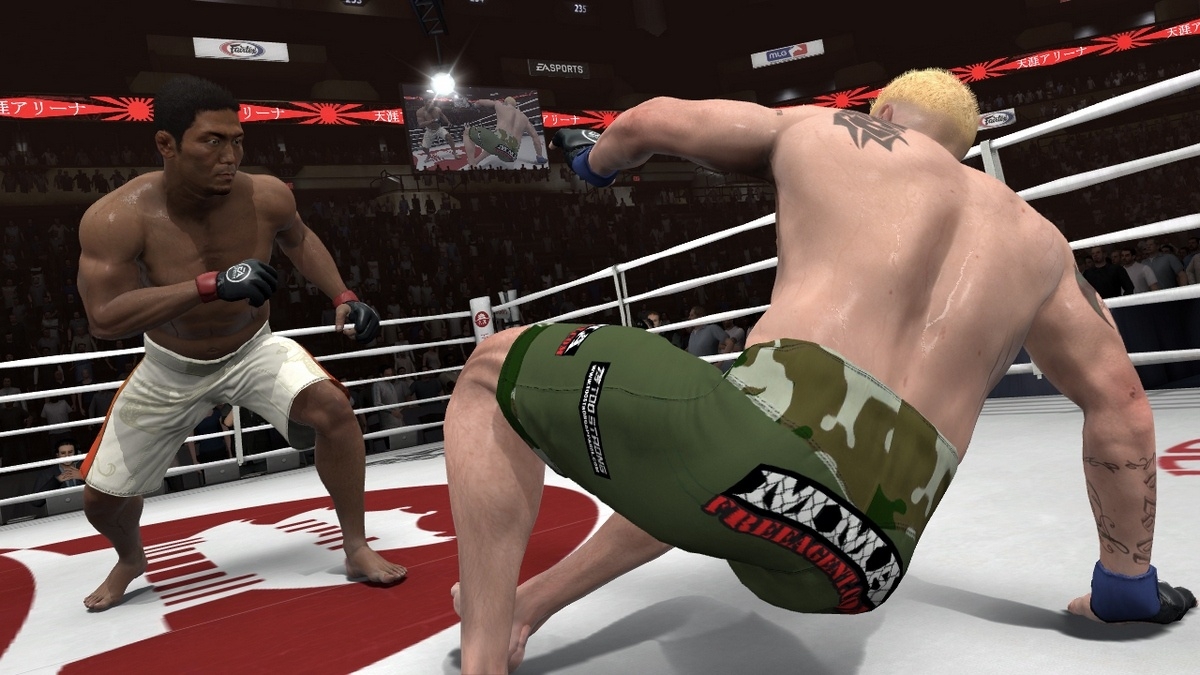 Скриншот из игры EA Sports MMA под номером 21