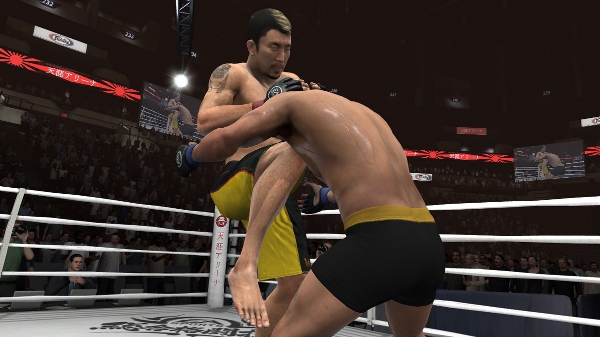 Скриншот из игры EA Sports MMA под номером 23