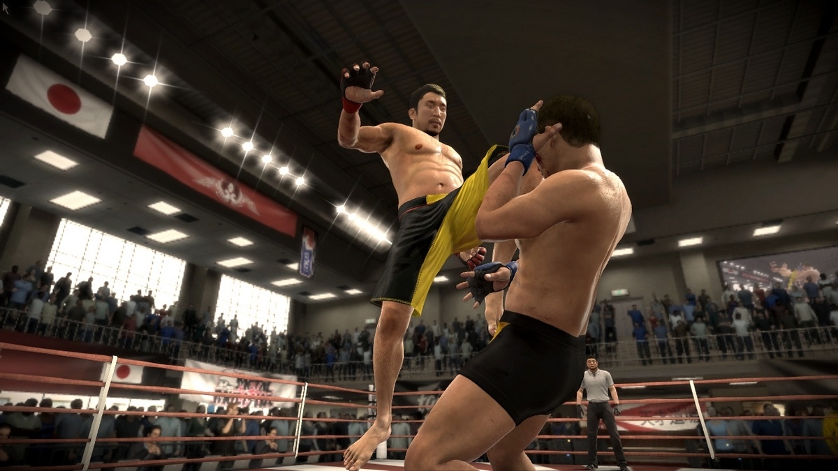 Скриншот из игры EA Sports MMA под номером 24