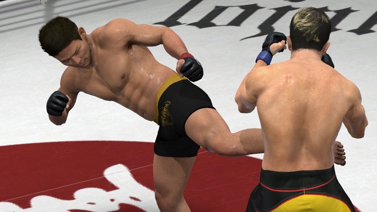 Скриншот из игры EA Sports MMA под номером 26
