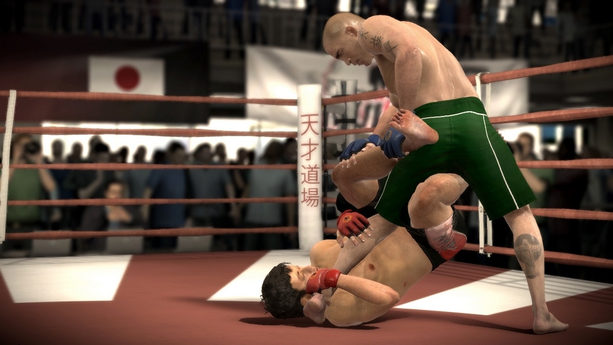 Скриншот из игры EA Sports MMA под номером 27