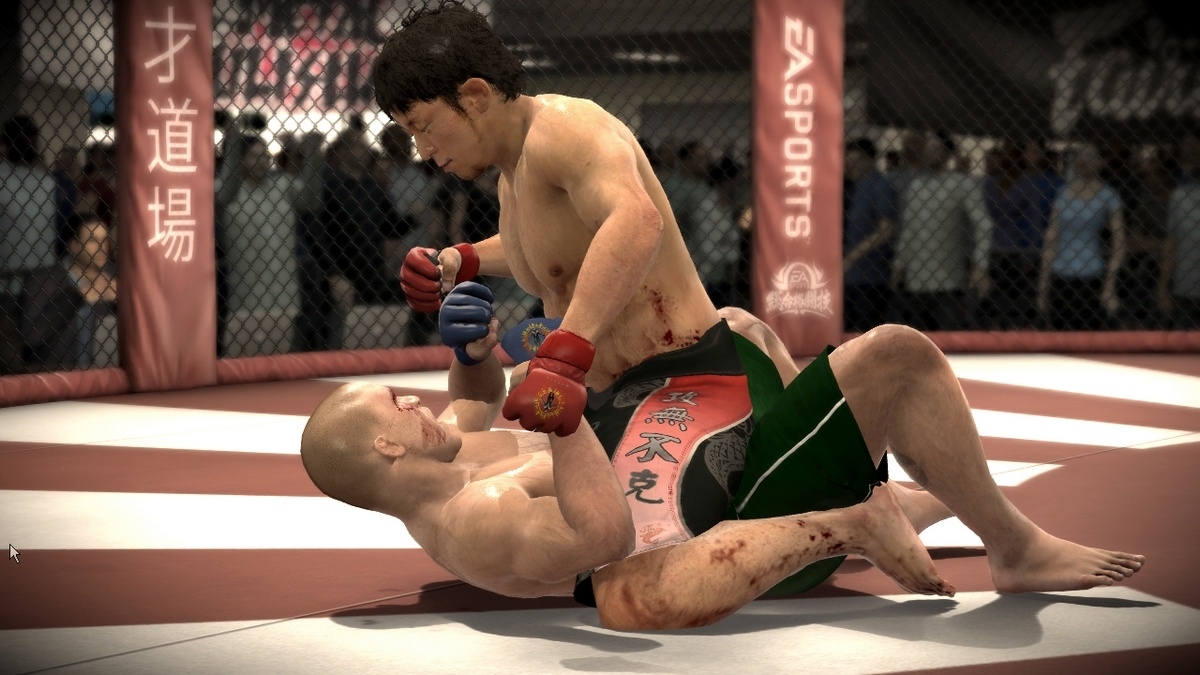 Скриншот из игры EA Sports MMA под номером 28