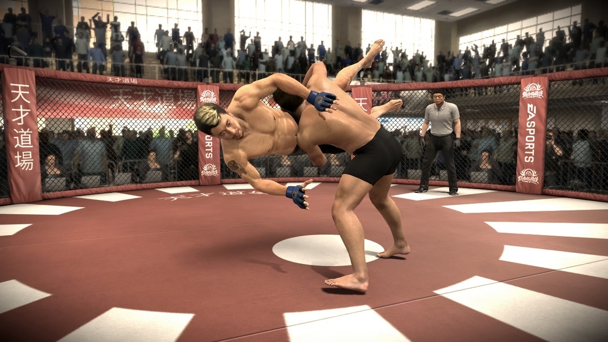 Скриншот из игры EA Sports MMA под номером 29