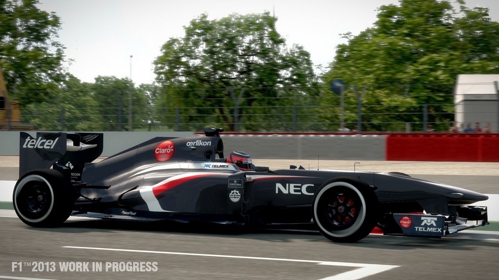 Скриншот из игры F1 2013 под номером 12