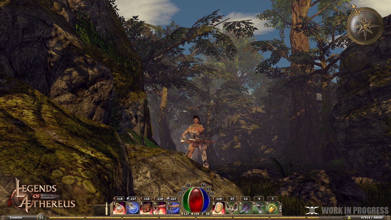Скриншот из игры Legends of Aethereus под номером 8