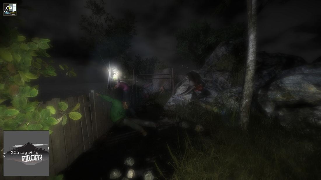 Скриншот из игры Montague