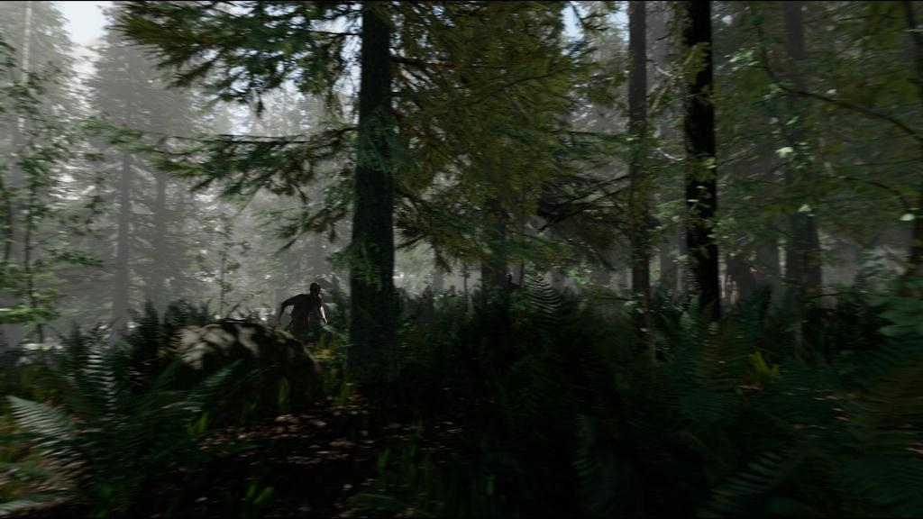 Скриншот из игры Forest, The под номером 12