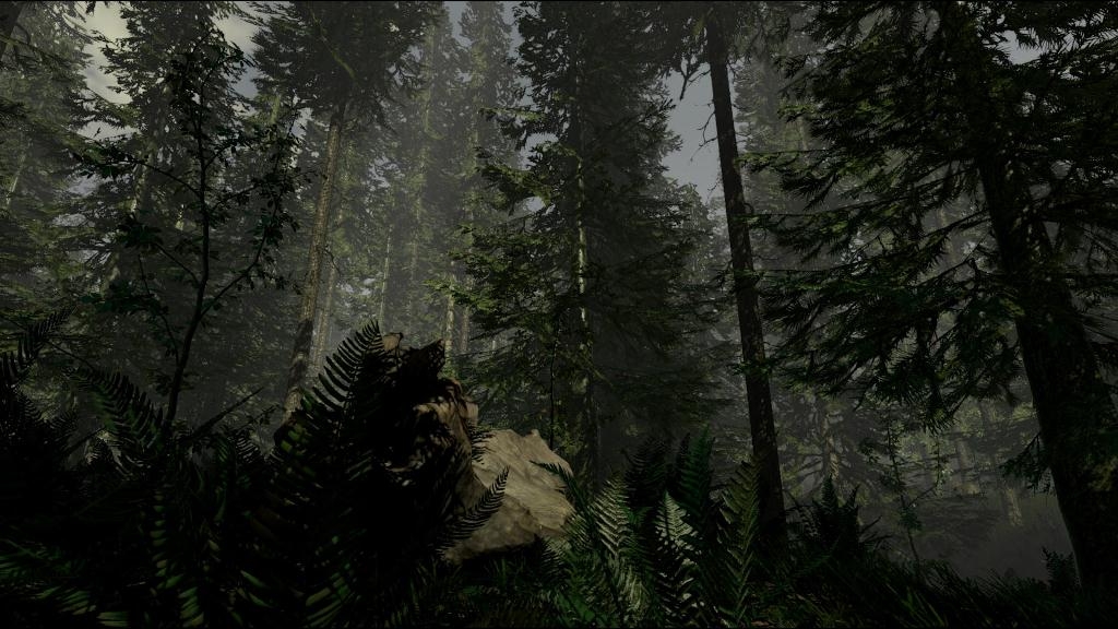 Скриншот из игры Forest, The под номером 13