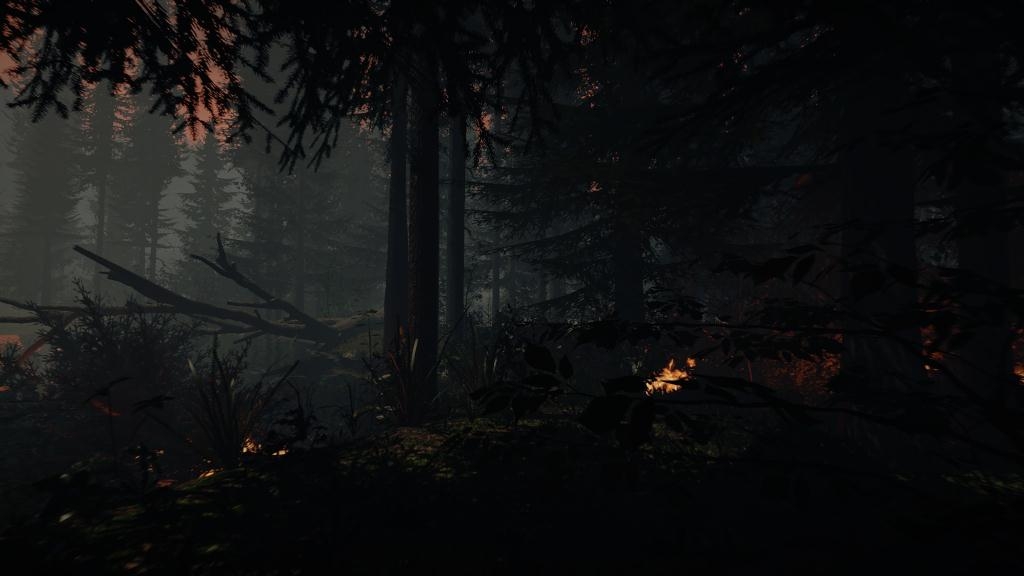 Скриншот из игры Forest, The под номером 28