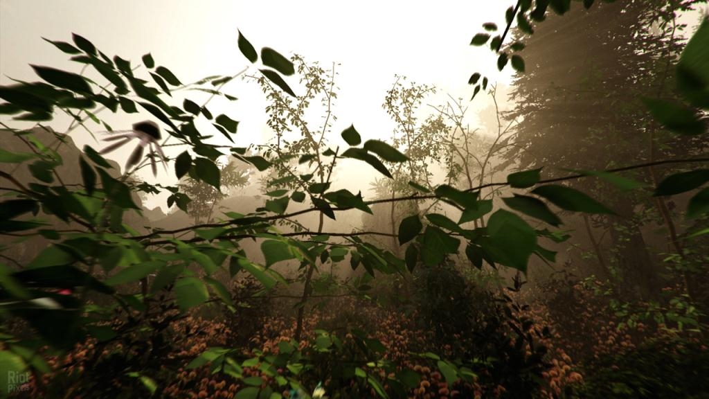 Скриншот из игры Forest, The под номером 29