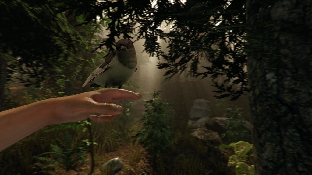 Скриншот из игры Forest, The под номером 32