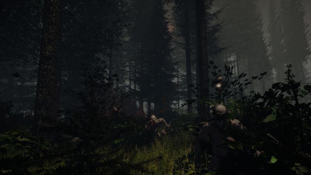 Скриншот из игры Forest, The под номером 35