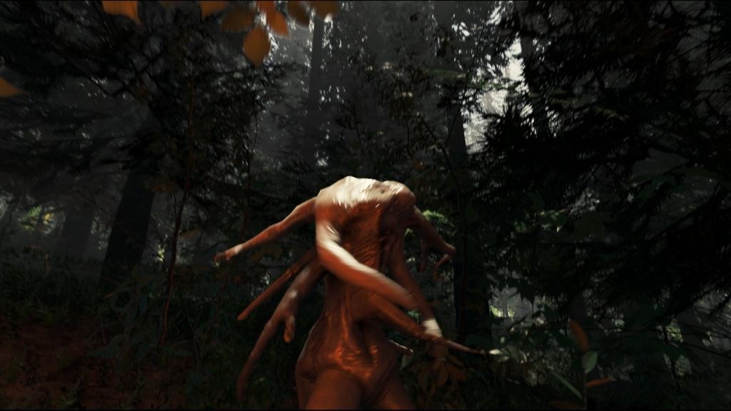Скриншот из игры Forest, The под номером 39