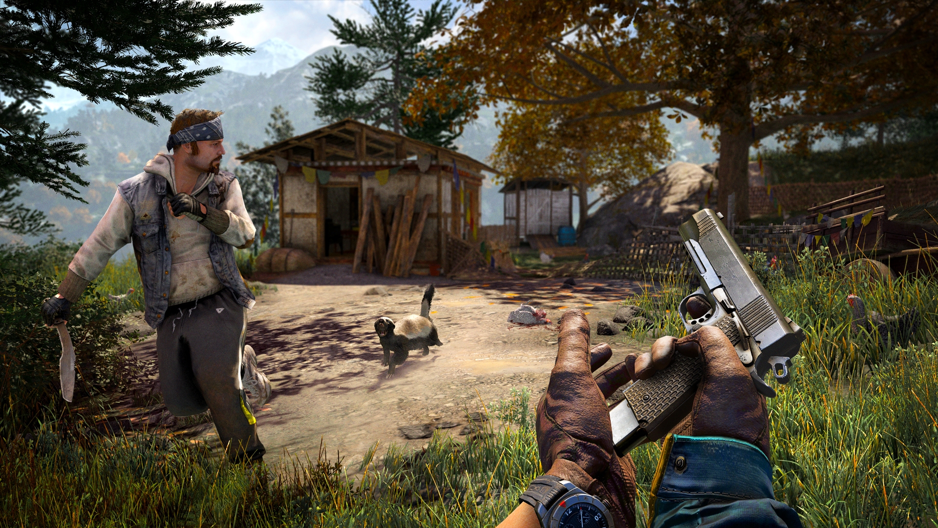 Скриншот из игры Far Cry 4 под номером 17