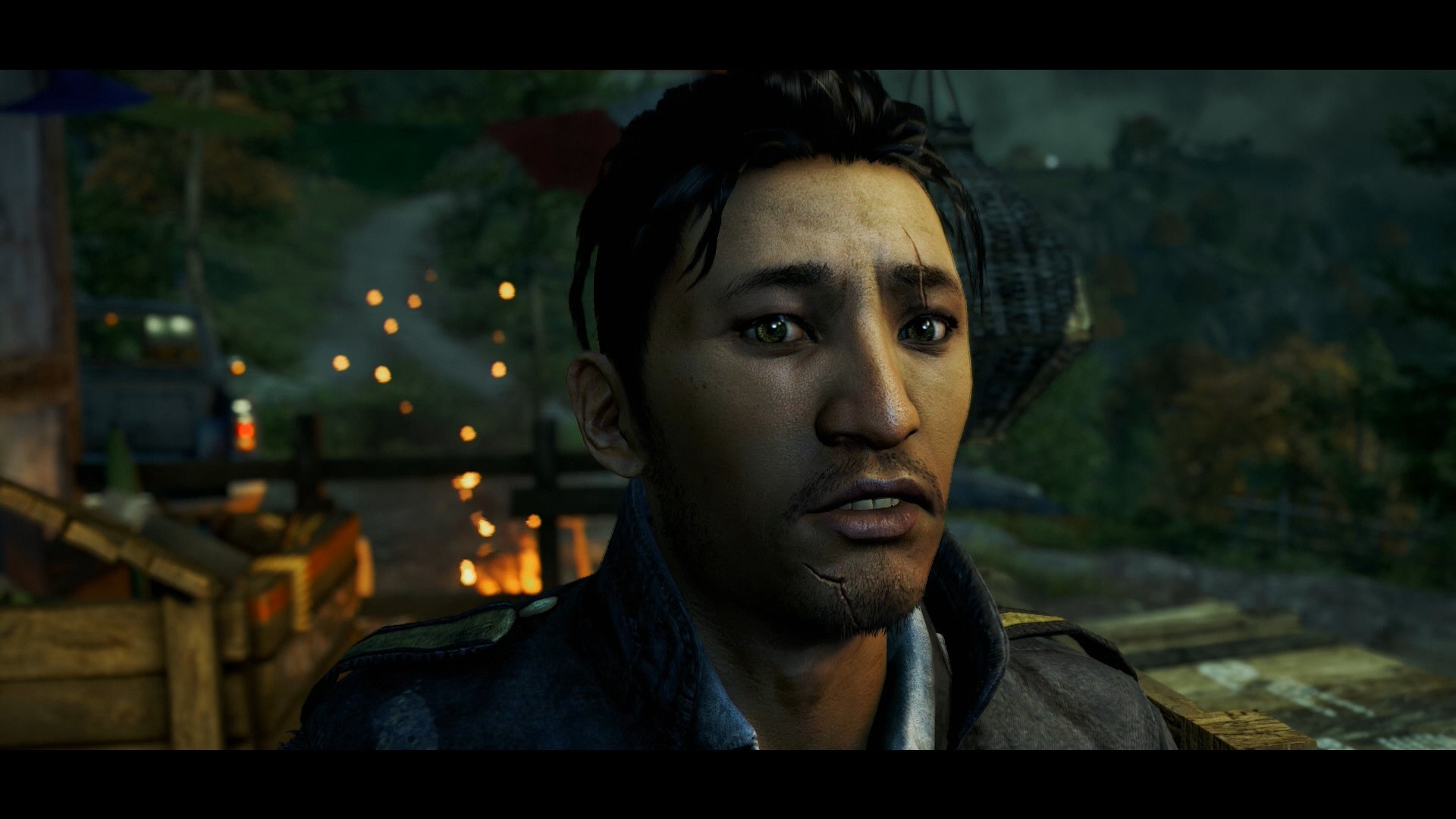 Скриншот из игры Far Cry 4 под номером 33