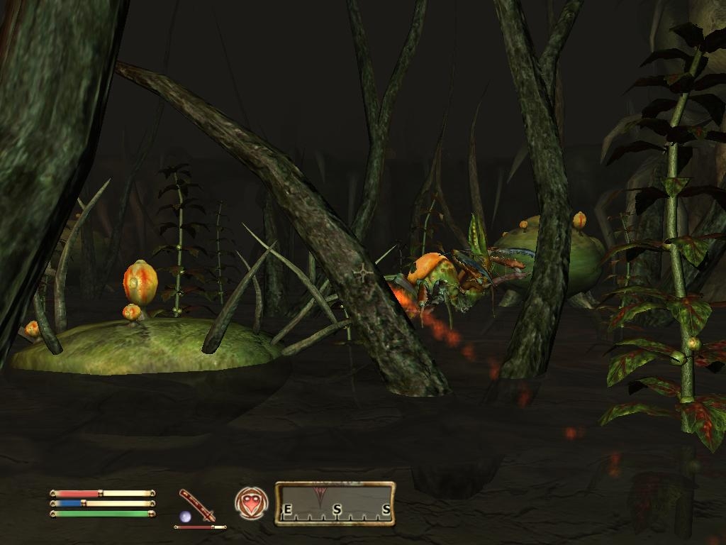 Скриншот из игры Elder Scrolls 4: Shivering Isles, The под номером 1