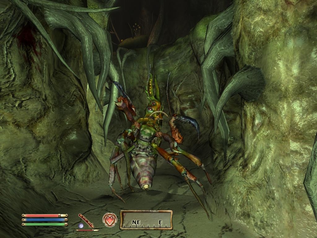 Скриншот из игры Elder Scrolls 4: Shivering Isles, The под номером 2