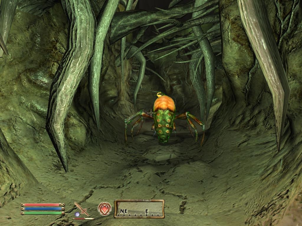 Скриншот из игры Elder Scrolls 4: Shivering Isles, The под номером 3