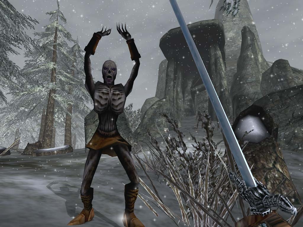 Скриншот из игры Elder Scrolls 3: Bloodmoon, The под номером 1