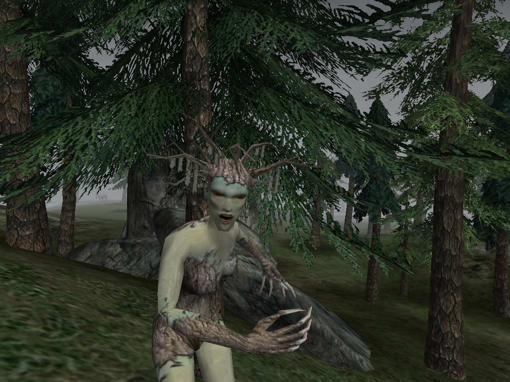 Скриншот из игры Elder Scrolls 3: Bloodmoon, The под номером 7