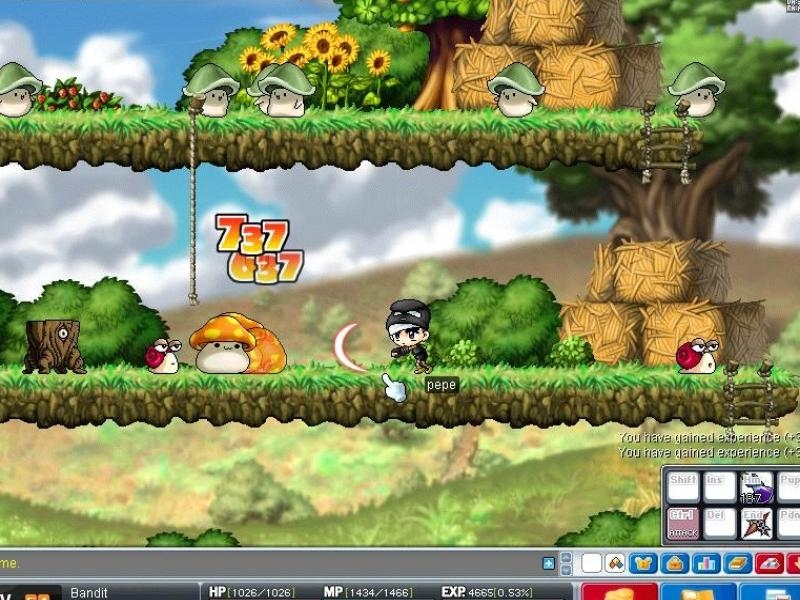 Скриншот из игры MapleStory под номером 1