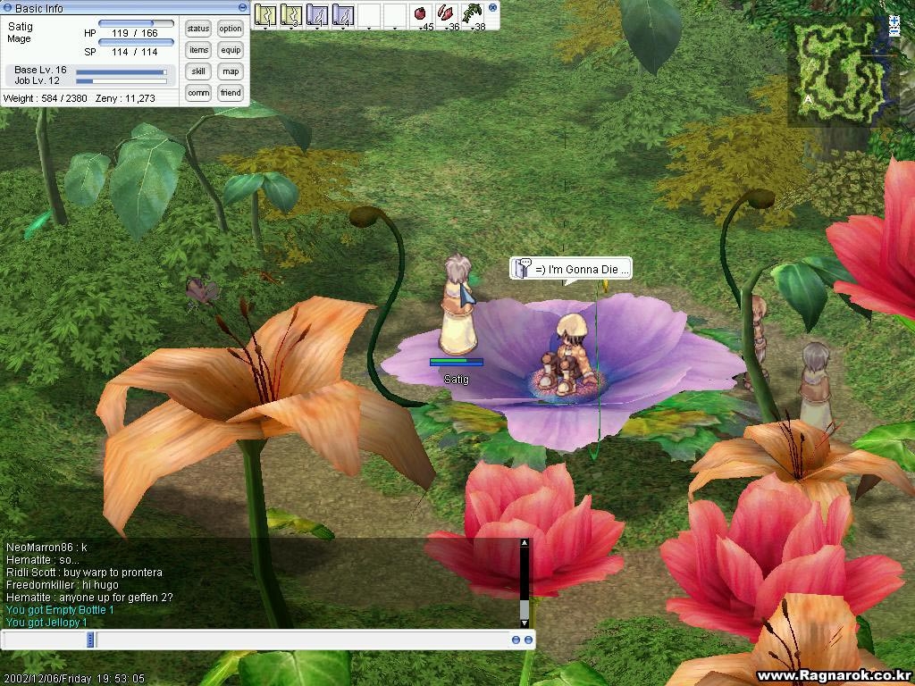 Скриншот из игры Ragnarok Online под номером 11