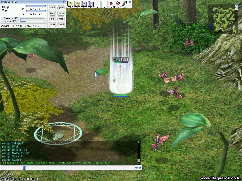 Скриншот из игры Ragnarok Online под номером 13